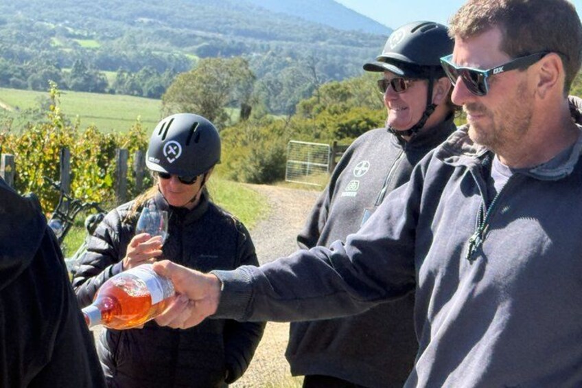 Yarra Valley Rail Trail e-Bike Adventure eXperience, Wine & Lunch 3