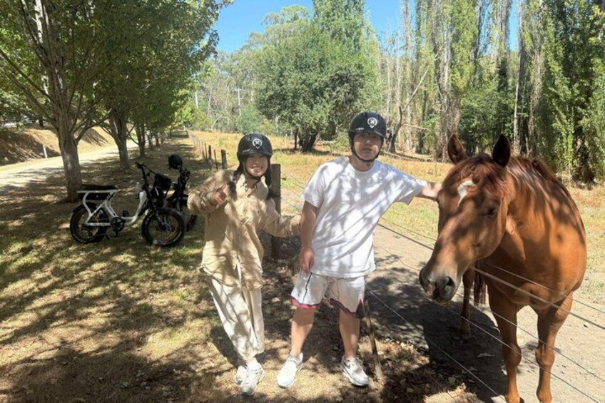 Yarra Valley Rail Trail e-Bike Adventure eXperience, Wine & Lunch 5