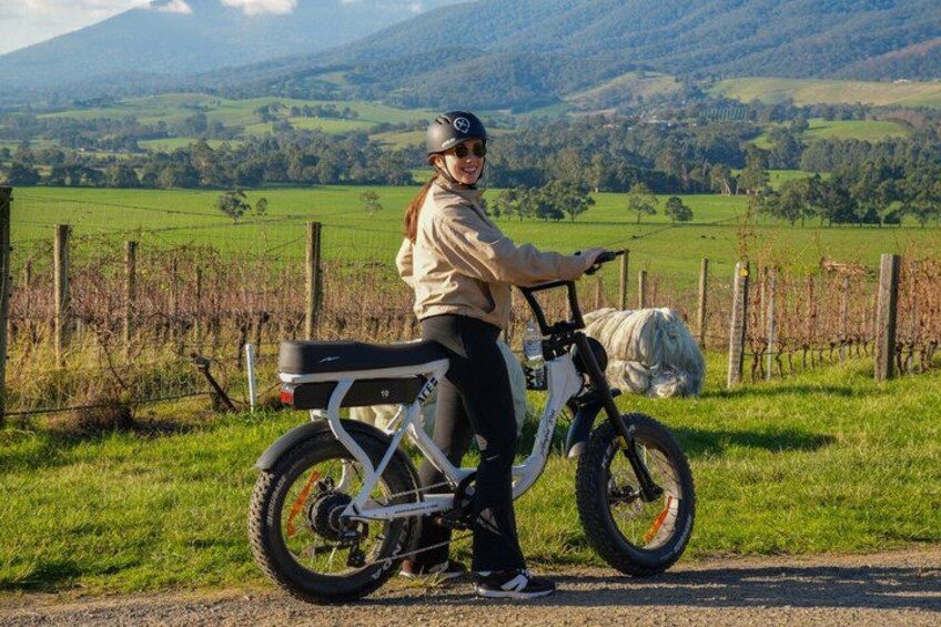 Yarra Valley Rail Trail e-Bike Adventure eXperience, Wine & Lunch 1
