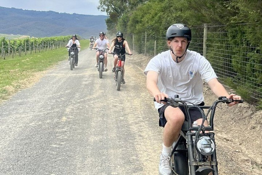 Yarra Valley Rail Trail E-Ride and Luncheon eXperience 2