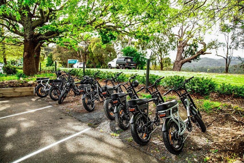 Healesville e-Ride, Bar Hop and Dinner eXperience 4