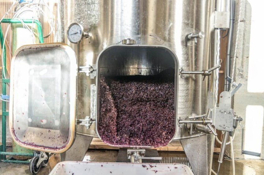 Creation of wine 4