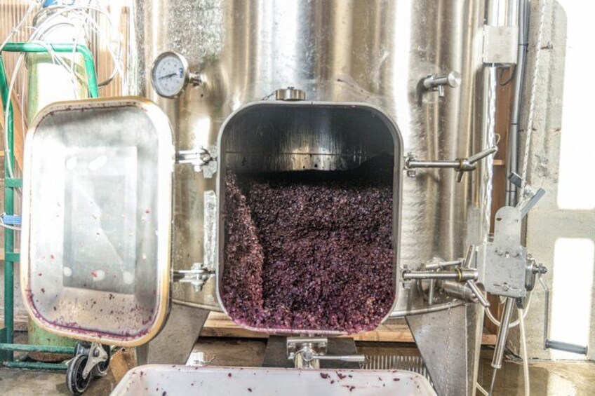 Assembly initiation: create your own wine 2