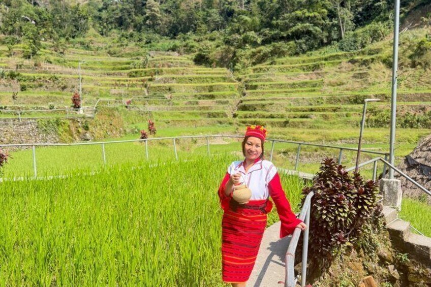 A person in a red dress standing in a rice field with terraced hills in the background. 5