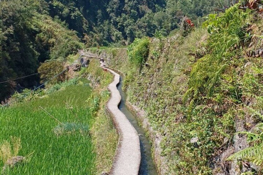 A narrow, winding path through a lush, green valley with dense vegetation on either side. 1