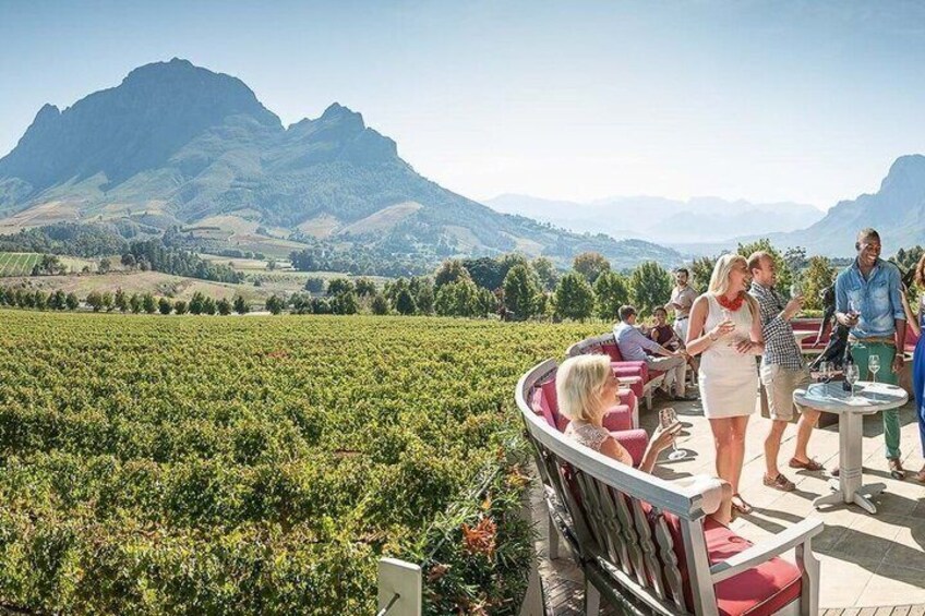A vineyard with people standing and sitting on a terrace, overlooking a mountainous landscape. 1