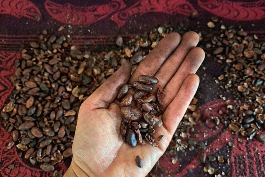 Rare Chuncho Cacao Bean to Bar Workshop and Ceremony 1