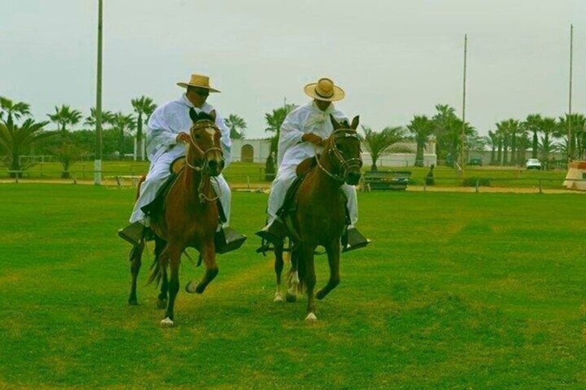Two people riding horses on a grassy field with palm trees in the background. 5