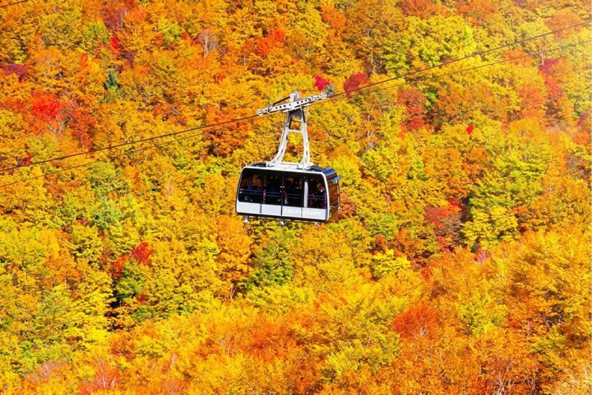 Picture 12 for Activity Sendai: Ginzan Onsen, Zao Rope& Okama Crater Tour with Lunch 3