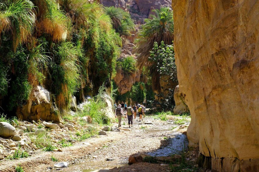 A group of hikers walking along a rocky trail in a canyon with lush greenery and large boulders. 5