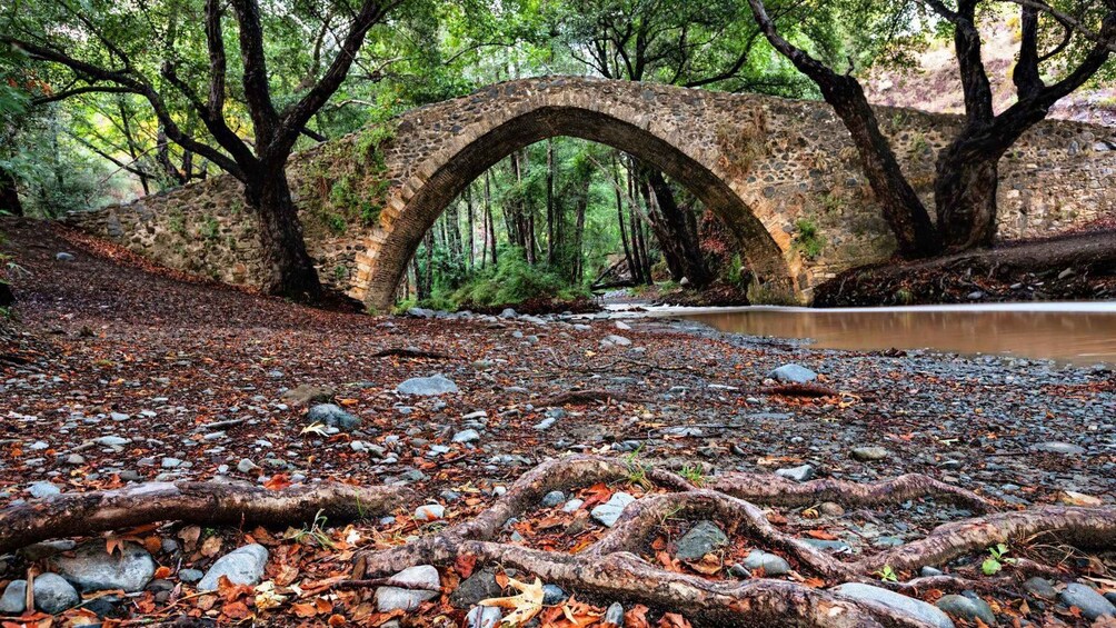 A stone bridge in a forest with a river below. 3
