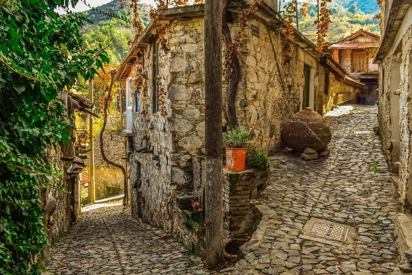 A narrow cobblestone street flanked by stone buildings with ivy and potted plants. 4