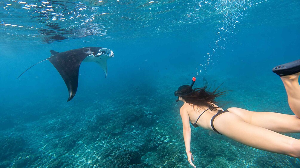 Nusa Penida: Private Boat 3-Spots Manta Snorkeling Tour 1