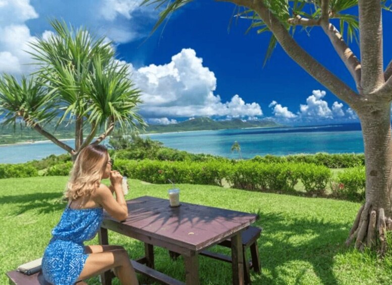 A person sitting at a wooden table outdoors, overlooking a coastal landscape with palm trees and a clear blue sky. 2
