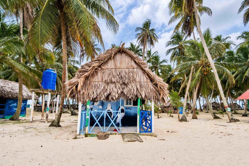 A thatched-roof hut on a sandy beach with palm trees. 3