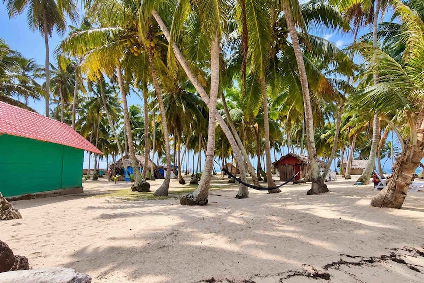 A beach with palm trees, a green building, and a red hut. 5
