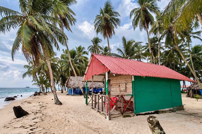 A beach with palm trees, a red-roofed hut, and a thatched-roof structure. 4