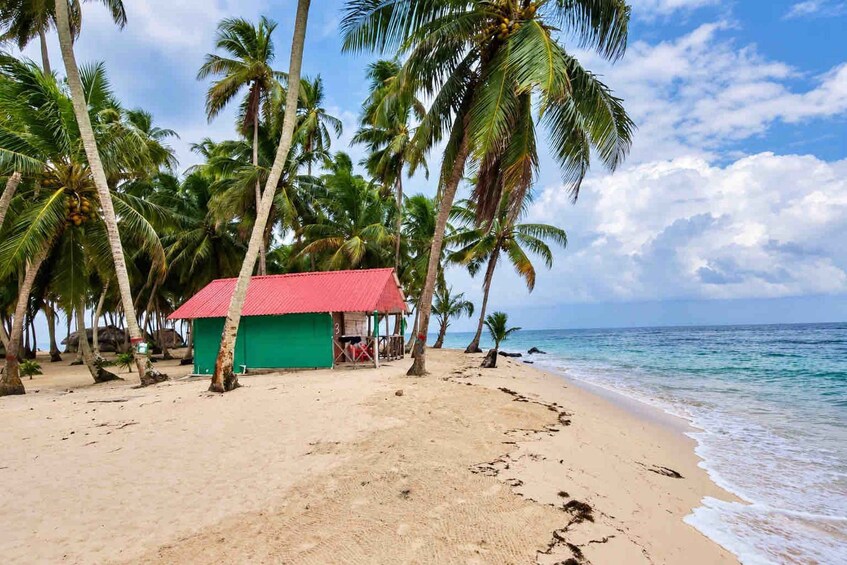 A beach with a small red-roofed structure, palm trees, and a clear blue sky. 2