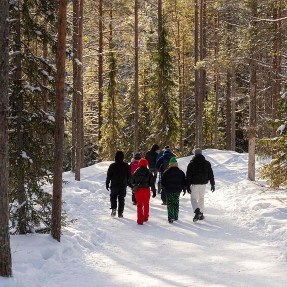 Un grupo de personas caminando por un bosque nevado. 2