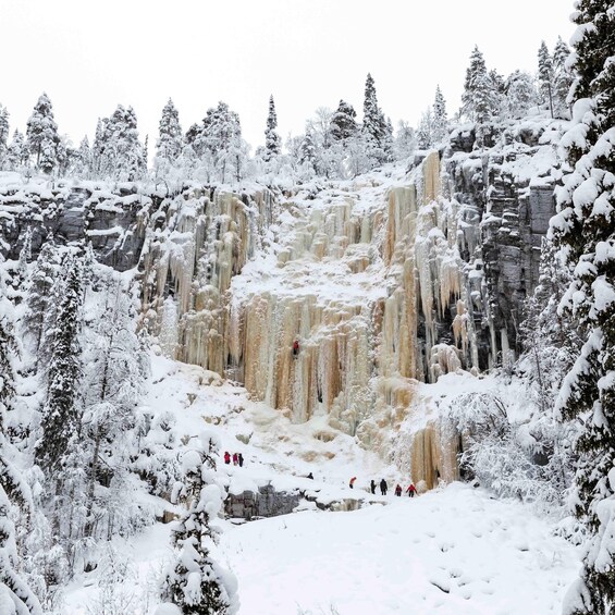 Un cascada nevada rodeada de árboles. 1