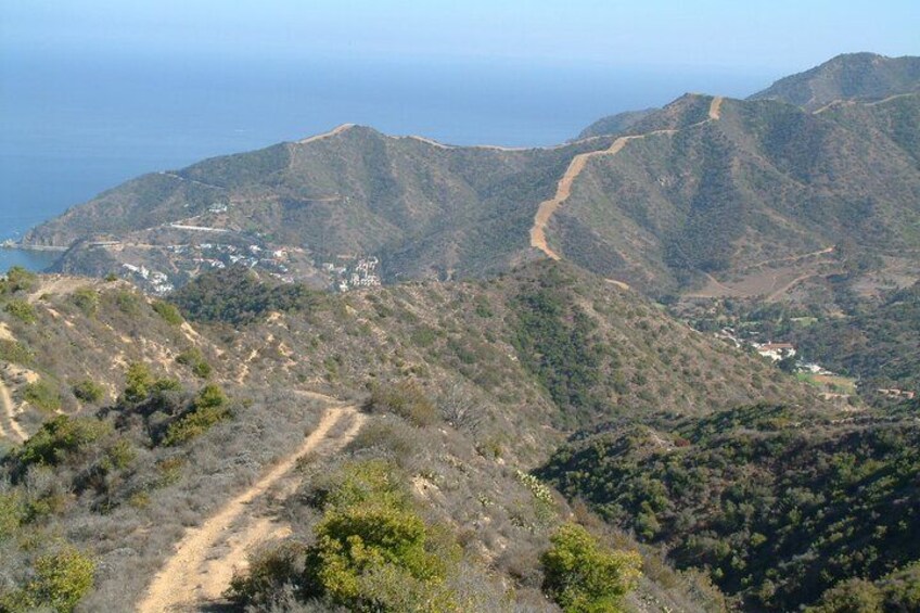Catalina Island 2-Hour Inside Adventure Tour 3