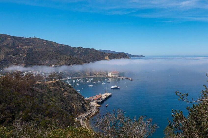 2 hour Inside Adventure Tour on Catalina Island