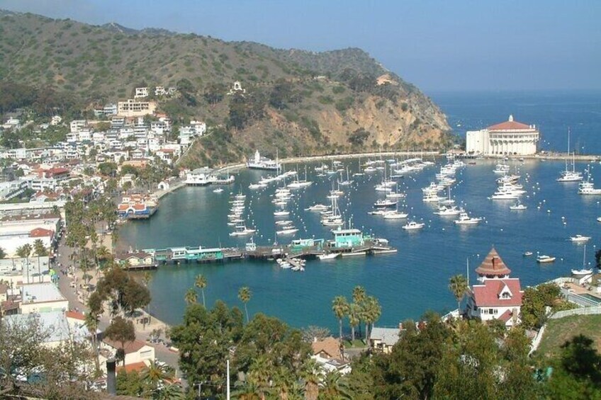 Catalina Island 2-Hour Inside Adventure Tour 2