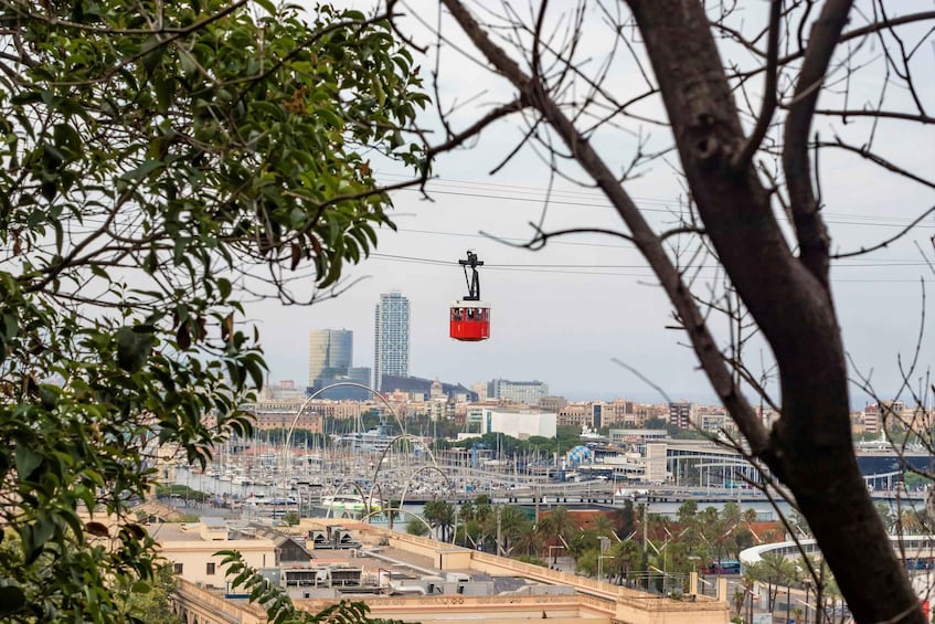 A cable car moving over a marina with buildings and palm trees in the background. 4