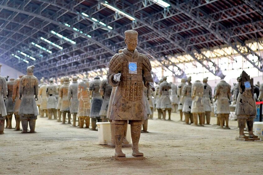 A collection of terracotta soldiers lined up in rows, some with numbered tags, inside a large, industrial-style building. 3