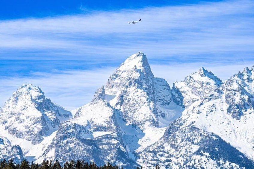 Sunset Wildlife Adventure in Grand Teton National Park 5
