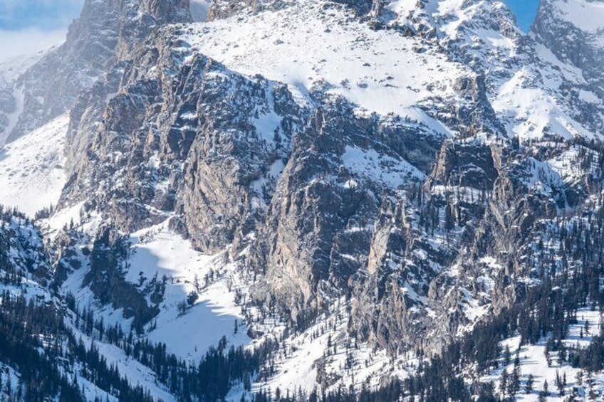 Sunrise Wildlife Adventure in Grand Teton National Park 4