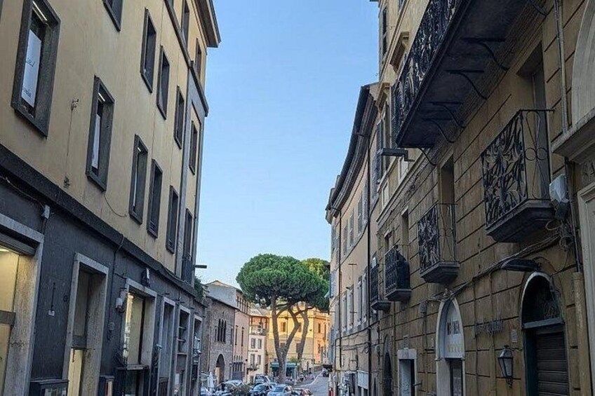 A narrow street with buildings on either side, a tree in the center, and a clear sky. 1