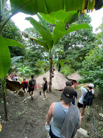 A group of people walking through a lush, tropical forest with banana trees and thatched-roof huts. 4