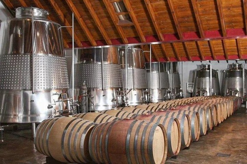 Wine World Tour 4