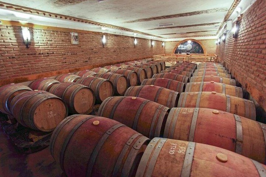 Wine World Tour 5