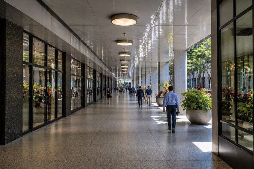 Discover Houston: A Self-Guided City Tour 4