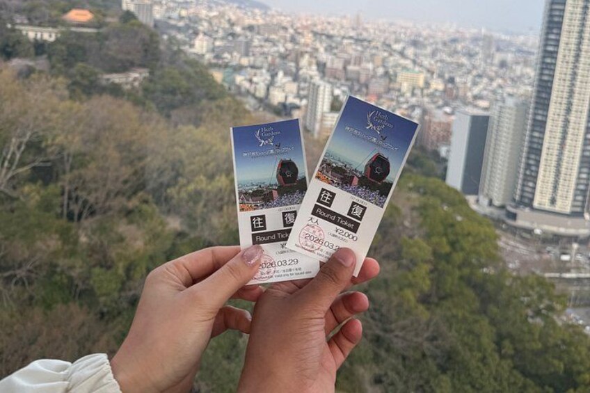 Kobe & Himeji Tour with English driver and Private Vehicle 5