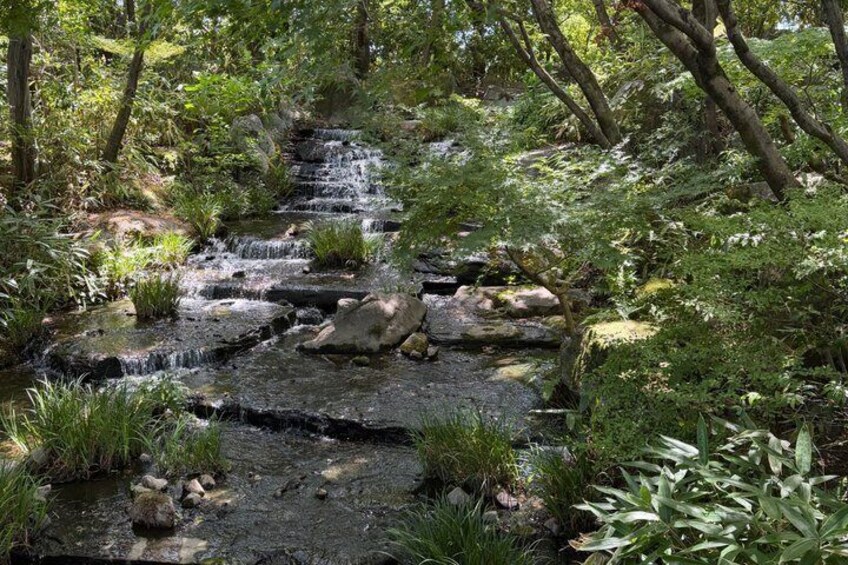 A cascading stream in a forested area with rocks and greenery. 2