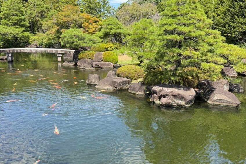 A koi pond with rocks, a bridge, and trees. 4