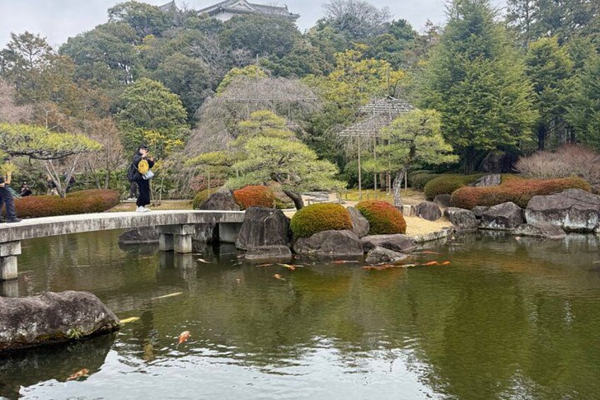 Kobe & Himeji Tour with English driver and Private Vehicle 2