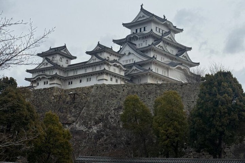Kobe & Himeji Tour with English driver and Private Vehicle 4