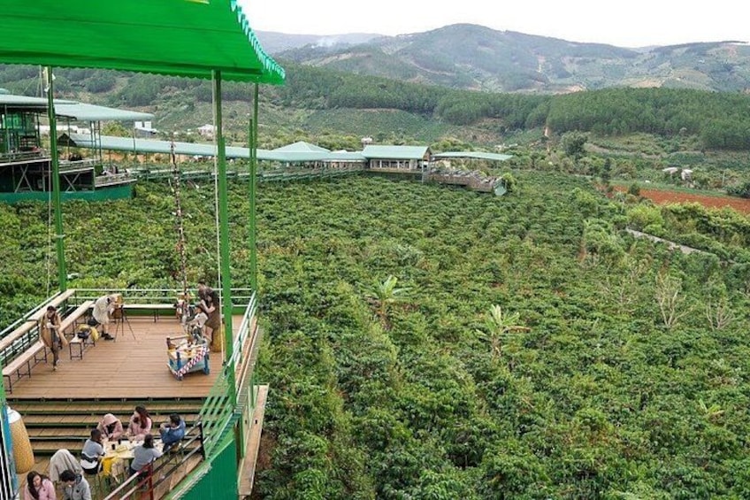 A green observation deck with people, overlooking a dense forest and distant hills. 2