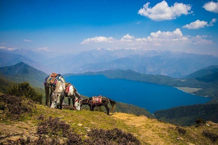 A mountainous landscape with a lake and three horses with saddles. 5
