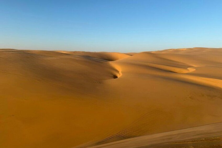 Weite Wüstenlandschaft mit sanften Sanddünen unter blauem Himmel. 5