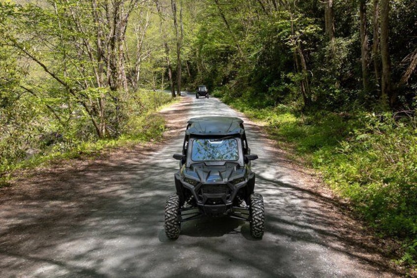 A black off-road vehicle on a forested road. 5