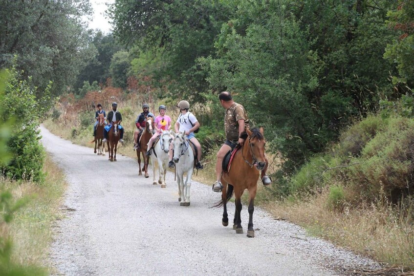 A group of people riding horses on a gravel path surrounded by greenery. 4