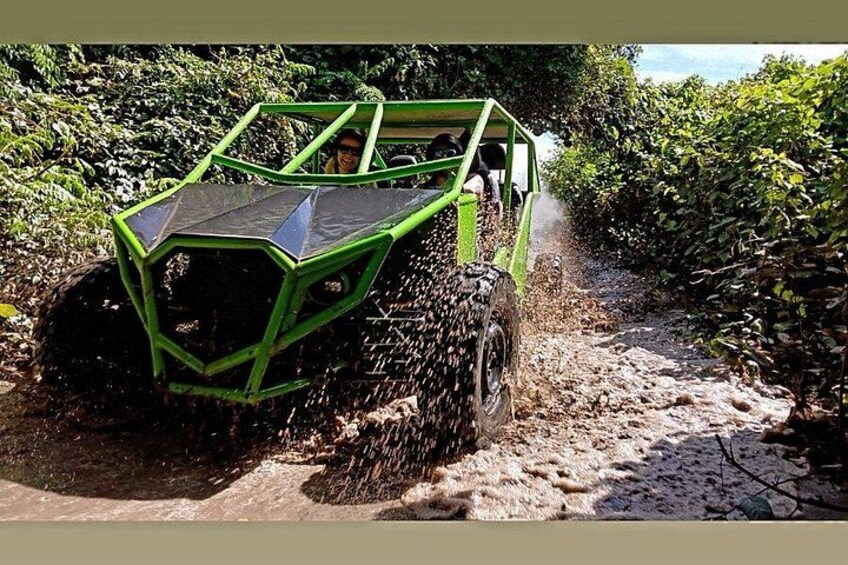 Puerto plata family dune buggy and country side tour 2
