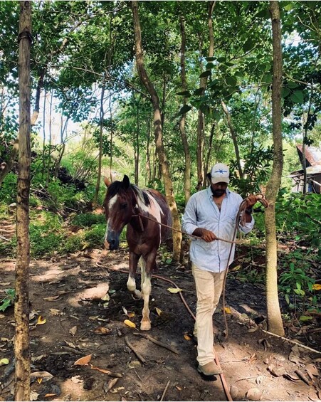A man leading a horse through a forested area with trees and underbrush. 3