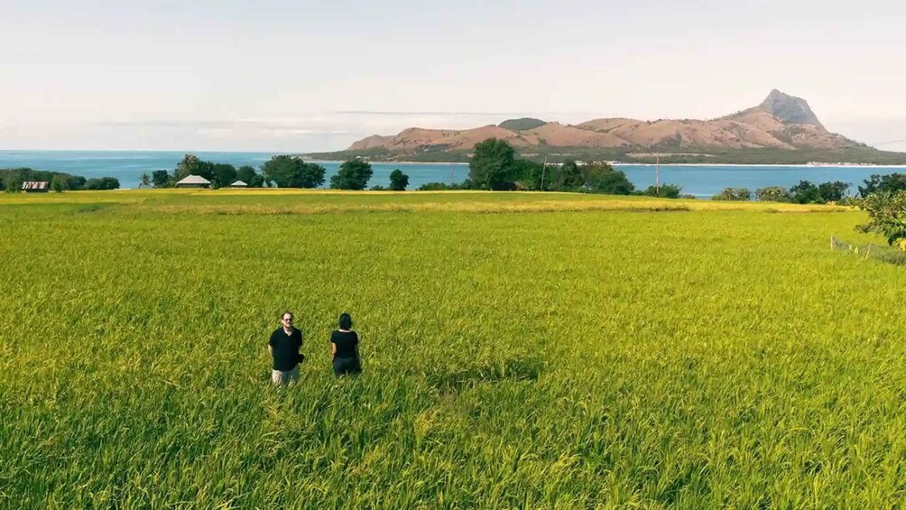 Two people walking in a field with a mountain and ocean in the background. 1