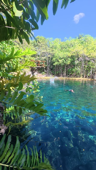 A clear blue water body surrounded by lush greenery and a wooden structure. 5